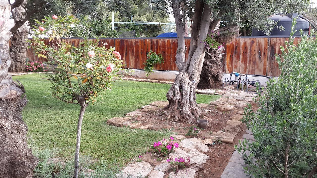 הוילה ראשון לציון ליסה מקום בחווה מראה חיצוני תמונה