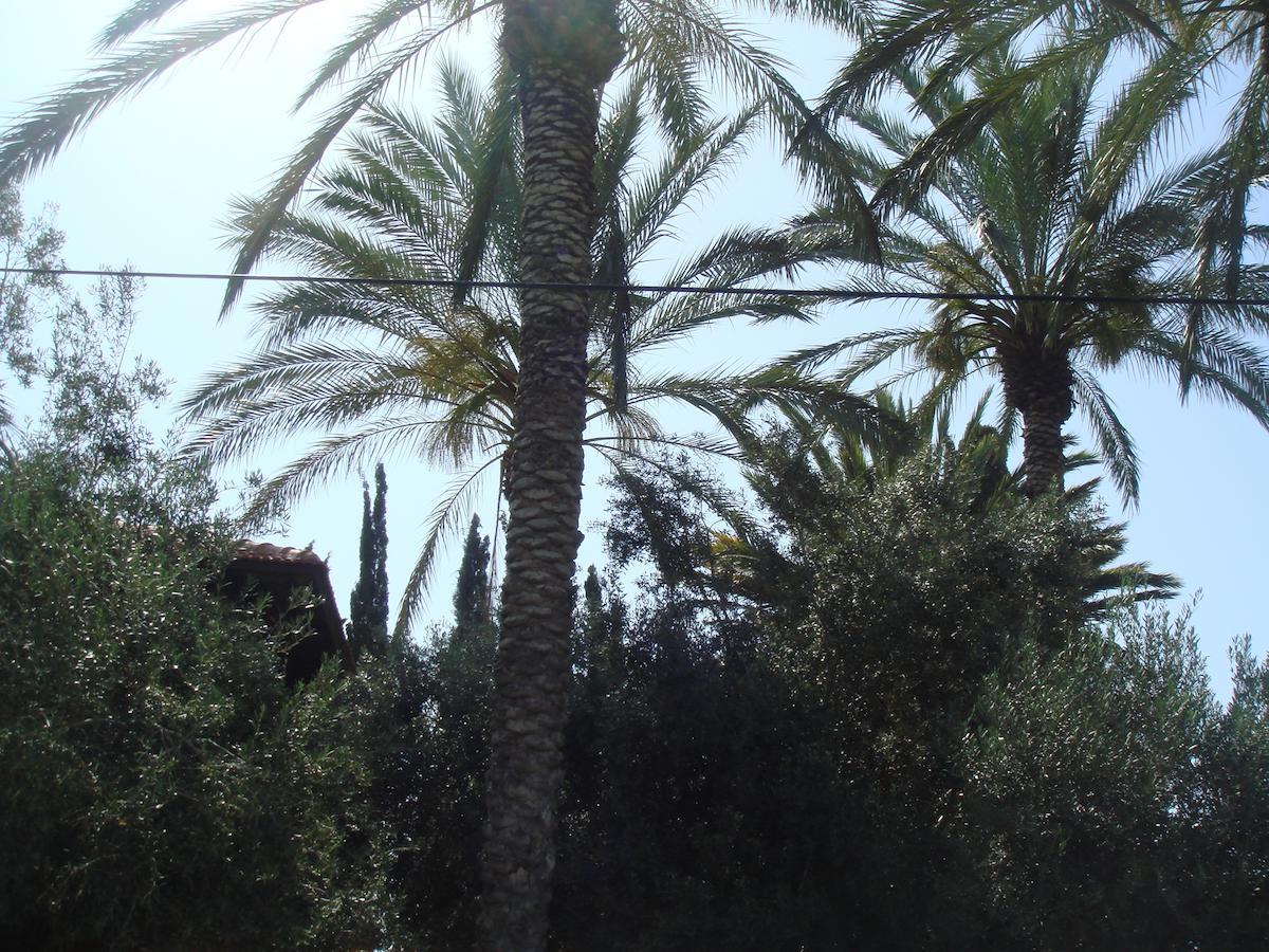 הוילה ראשון לציון ליסה מקום בחווה חדר תמונה