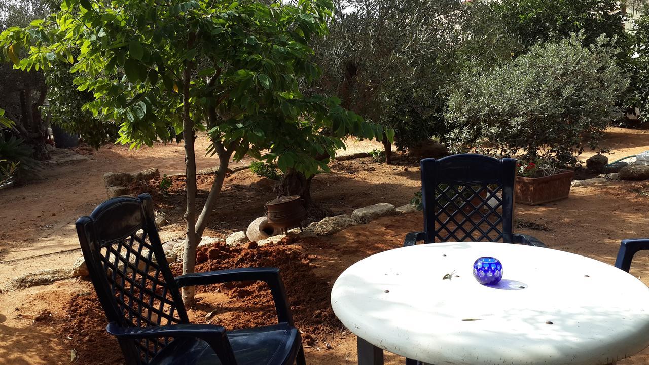 הוילה ראשון לציון ליסה מקום בחווה מראה חיצוני תמונה