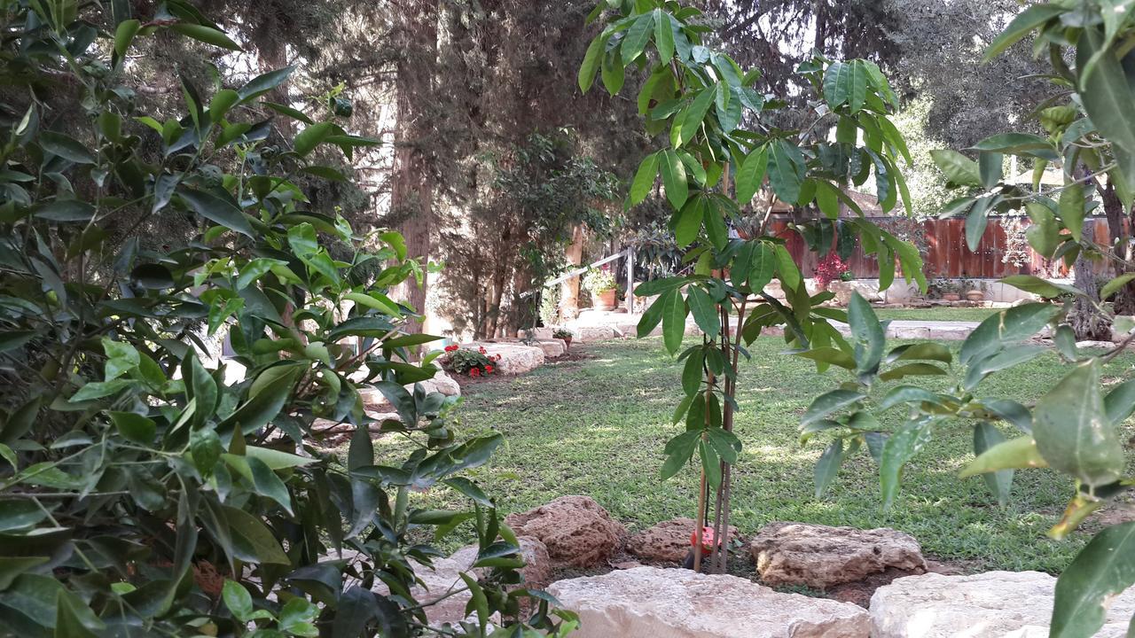 הוילה ראשון לציון ליסה מקום בחווה מראה חיצוני תמונה
