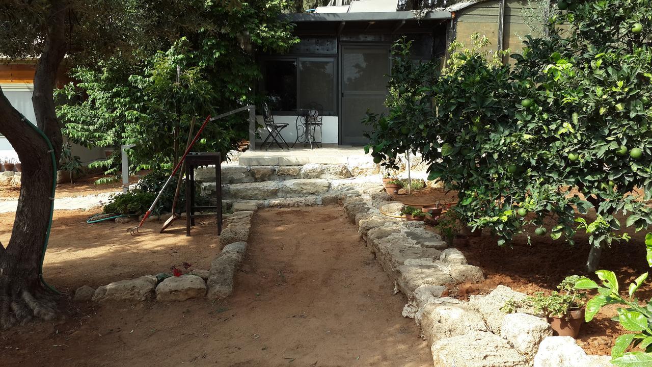 הוילה ראשון לציון ליסה מקום בחווה מראה חיצוני תמונה